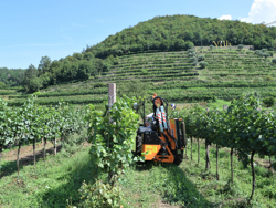 trituradora de brazo para tractor con cabezal de corte mod airone 100
