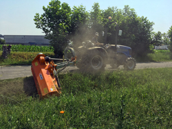 desbrozadora lateral de martillos para tractor deleks