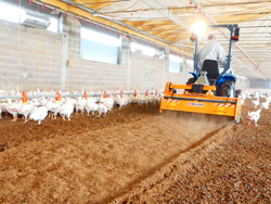 removedor triturador de cama avícola para tractor pavo 120