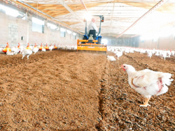 removedor triturador de cama avícola para tractor pavo 120