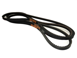 3 correas lince volpe