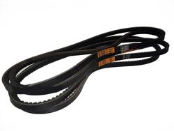 4 correas puma leo