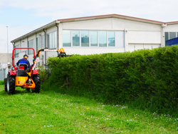 trituradora de brazo para tractor con cabezal de corte mod airone 160 tr