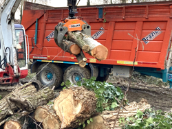 pinza forestal para excavadoras y grúas forestales capacidad 2000kg mod dk 16