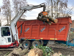 pinza forestal para excavadoras y grúas forestales capacidad 2000kg mod dk 16 gr 30f