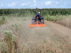 trituradora de martillos tigre 180 para naranjo y olivo