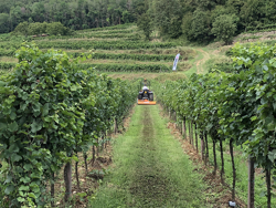trituradora de martillos lince 140 para hierba y restos de poda