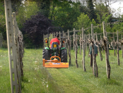 trituradora de martillos o cuchillas lince sp140 para tractor