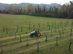 trituradora de martillos o cuchillas lince sp140 para tractor