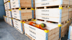 trituradora de martillos con brazo volpe 100 para pequeno tractor