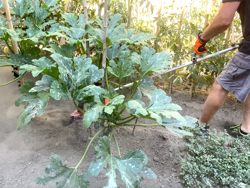 grada rotativa para desbrozadora 4 cuchillas