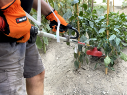 grada rotativa para desbrozadora 4 cuchillas