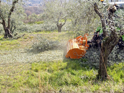 desbrozadora desplazable para tractor gepard 190