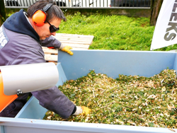 trituradora de ramas dk 800 honda con motor independiente