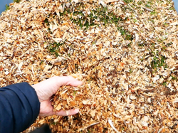 trituradora de ramas dk 800 honda con motor independiente