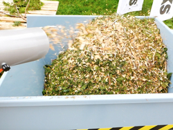 trituradora de ramas dk 800 lf con motor independiente 15cv