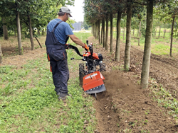 motocultor reversible motor loncin gasolina