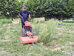 motocultor reversible motor loncin gasolina