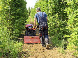 motocultor reversible motor kama