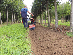 motocultor reversible motor kama