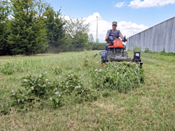 motocultor reversible motor kama